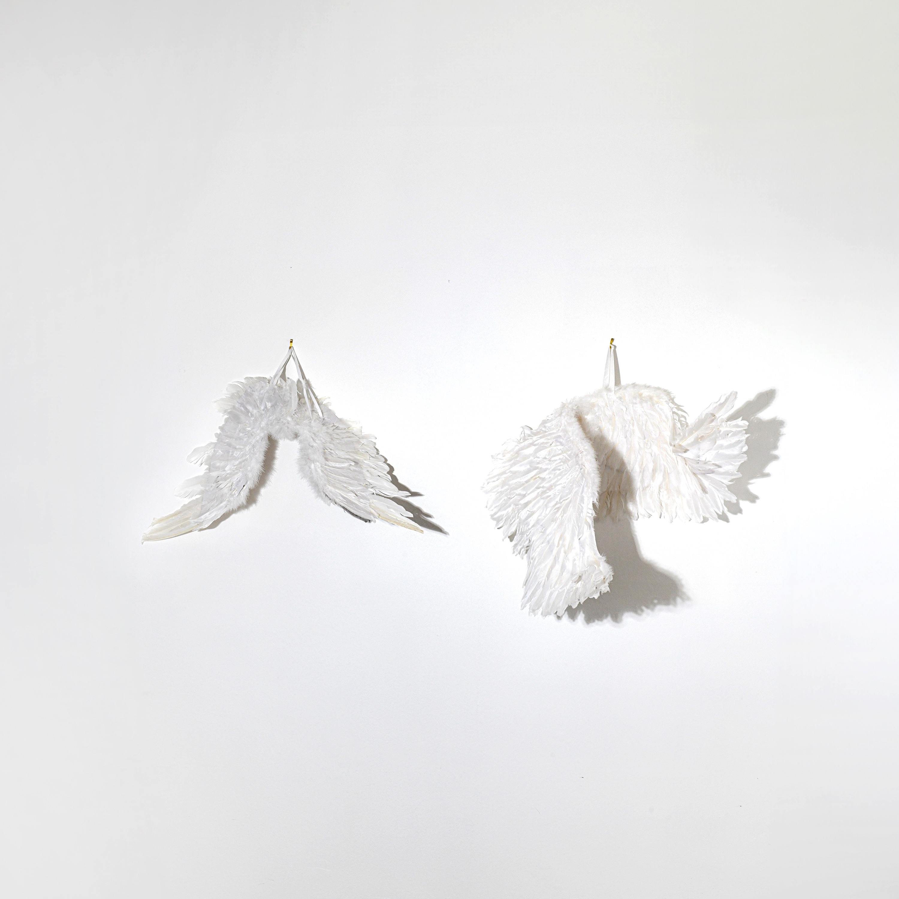 Plucked - Single album cover