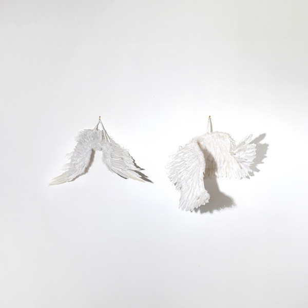 Plucked - Single album cover