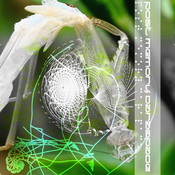 Post Memory Carapace - Single album cover