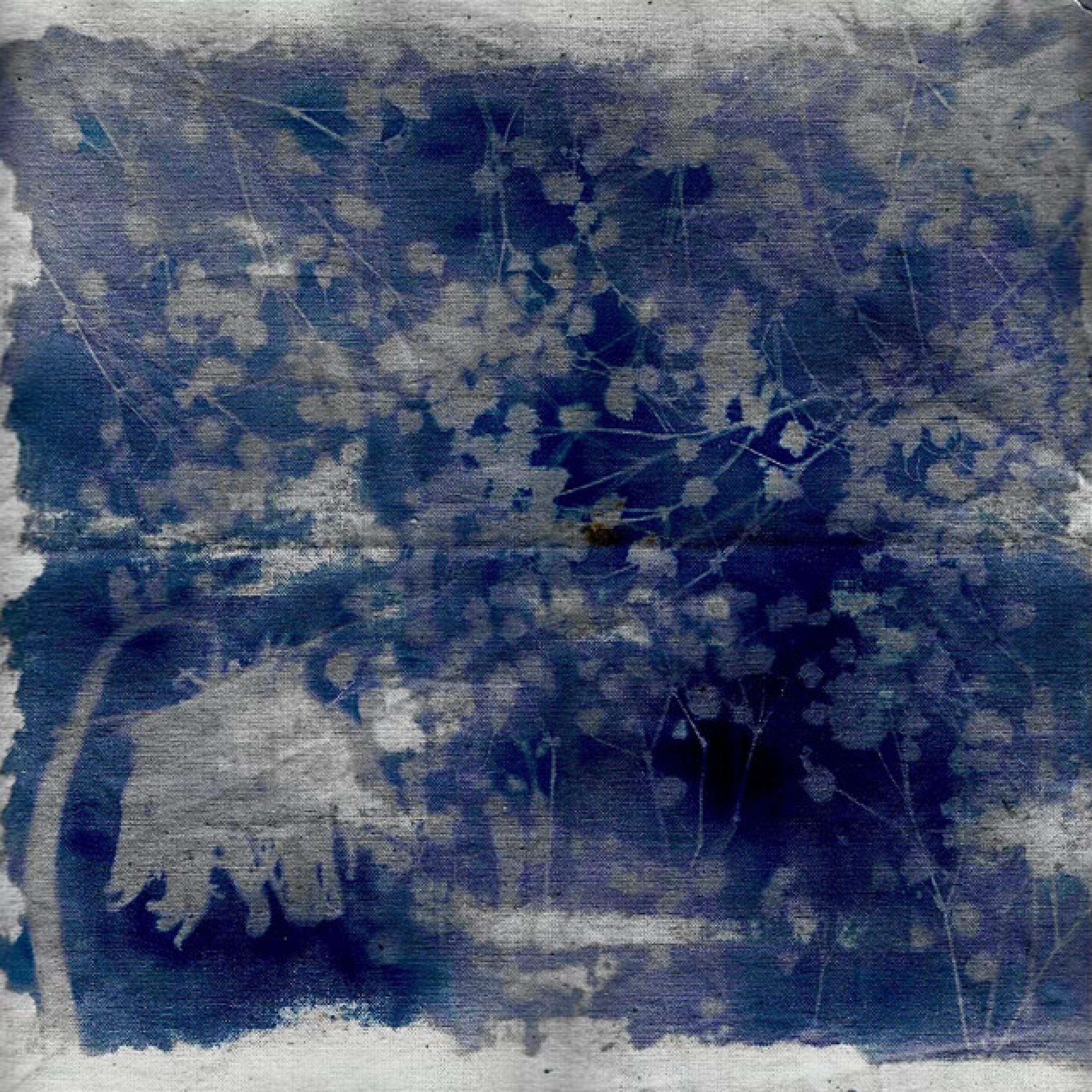Mildew - Single album cover