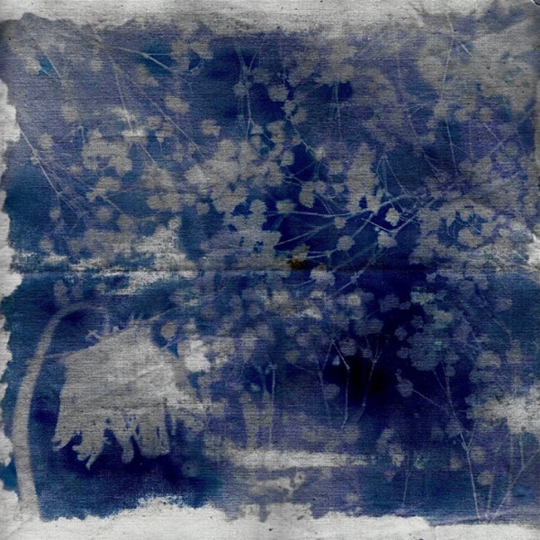 Mildew - Single album cover