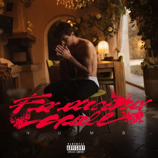 Fa ancora male - Single album cover