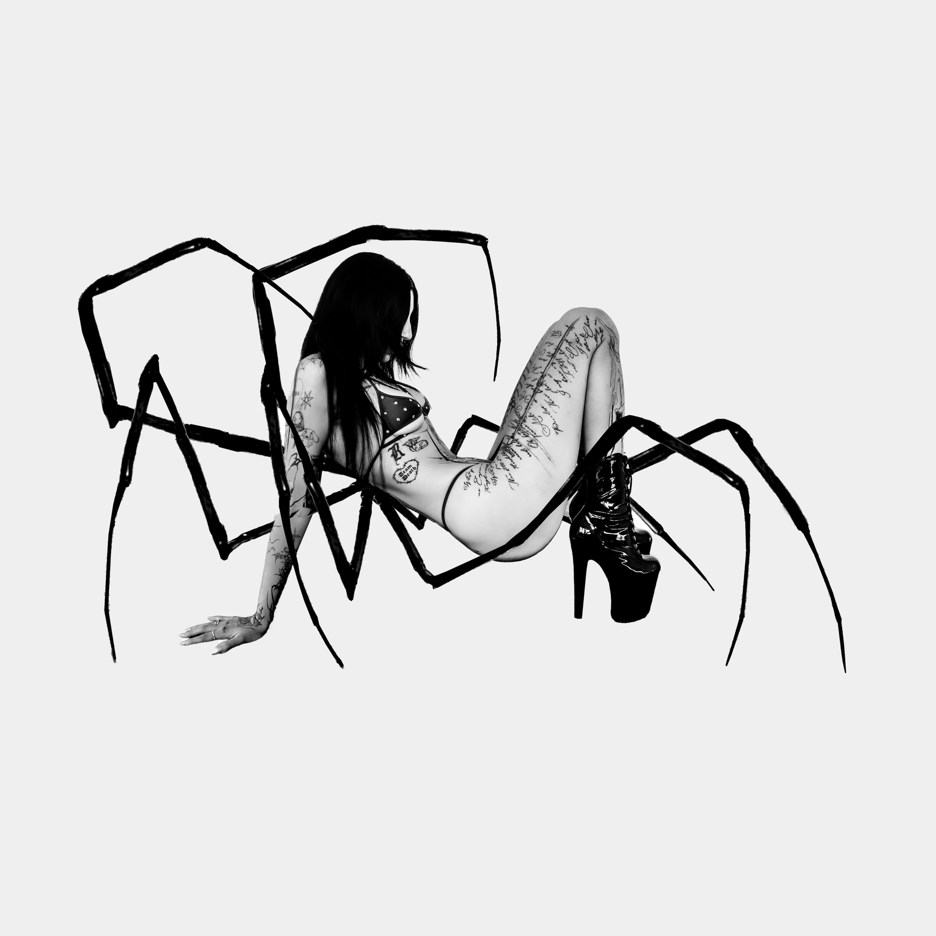 Feed - Single album cover