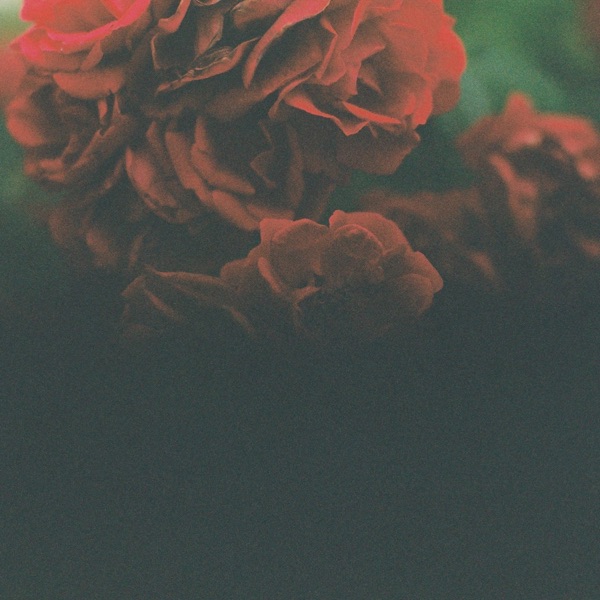 Dusk (Circle 58) - Single album cover