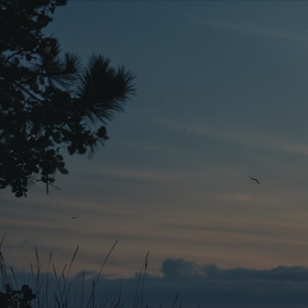 beneath quiet skies - Single album cover