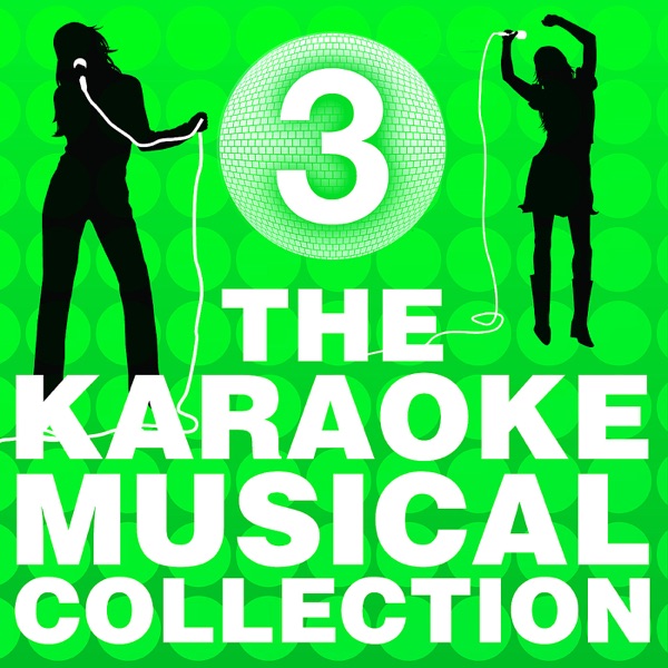 The Karaoke Musical Collection Vol. 3 album cover
