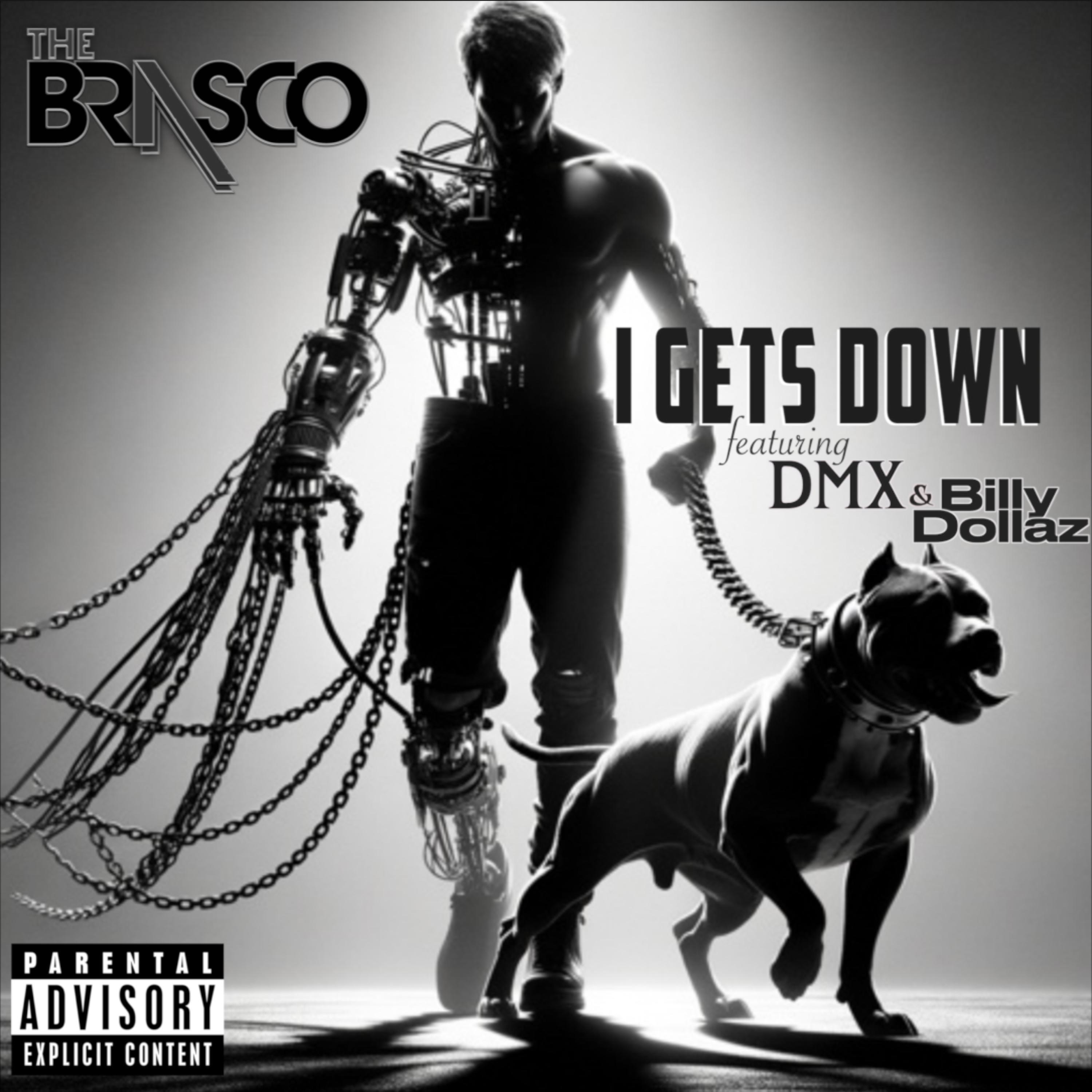 I Gets Down (feat. DMX & Billy Dollaz) - Single album cover