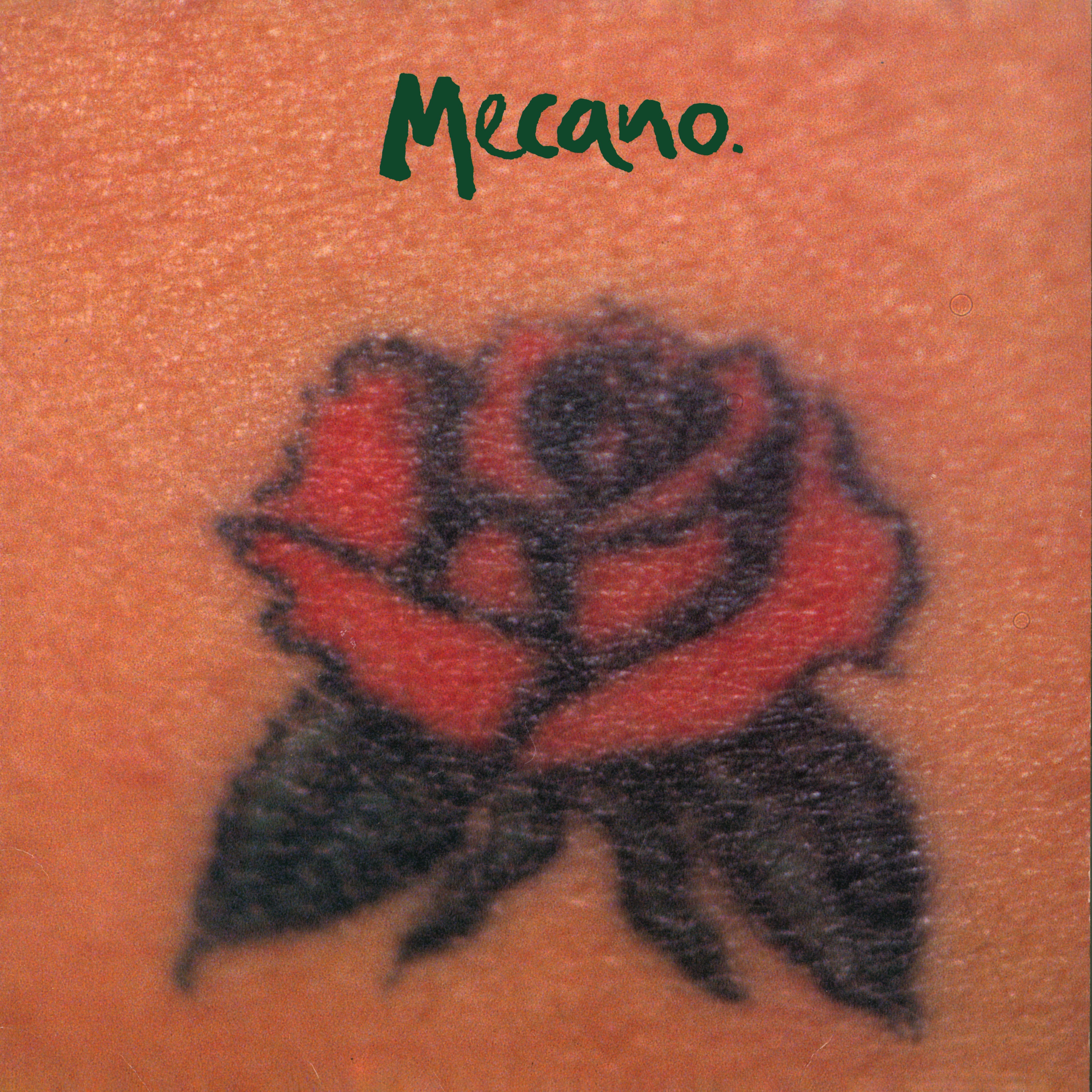 Una Rosa Es una Rosa - Single album cover