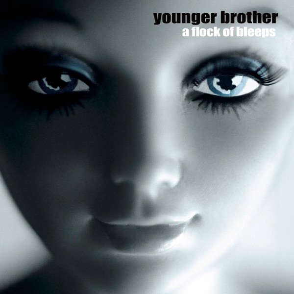 A Flock of Bleeps album cover