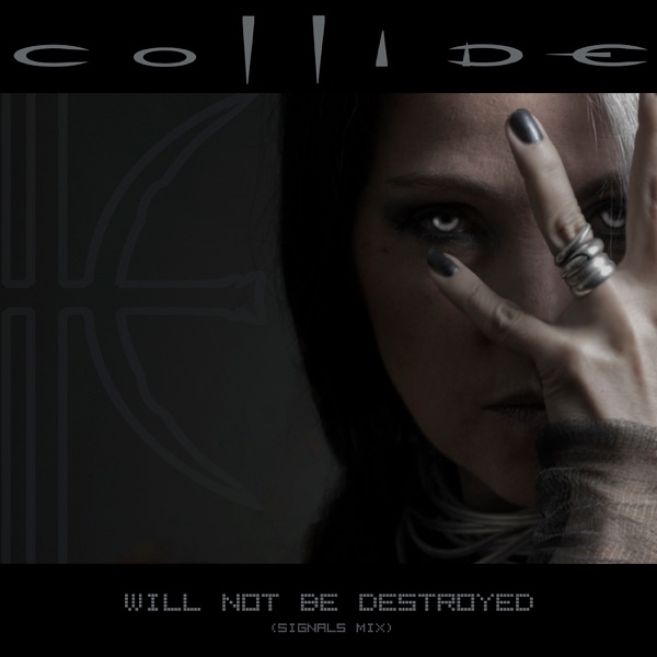 Will Not Be Destroyed (Signals Mix) - Single album cover