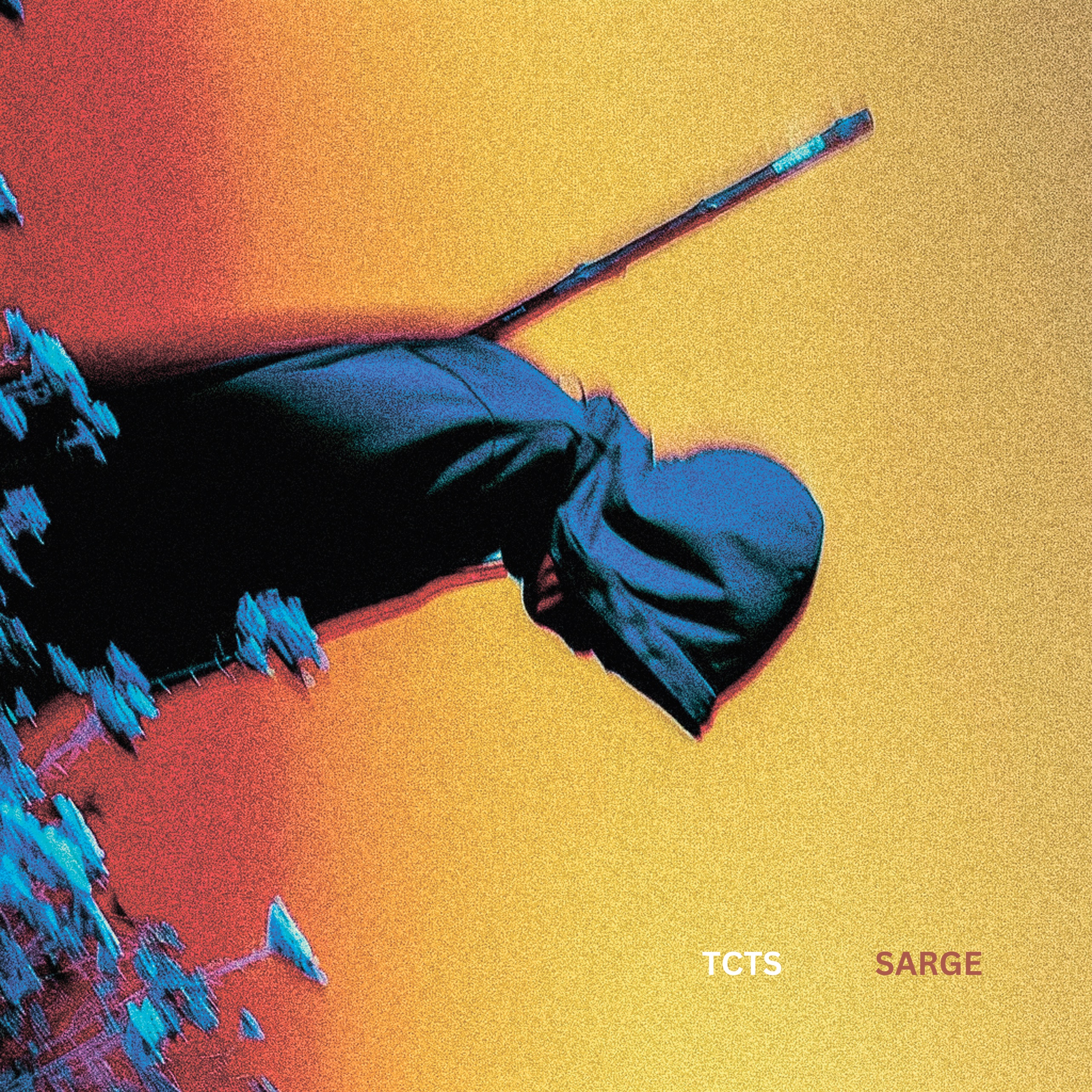 Sarge (VIP) - Single album cover