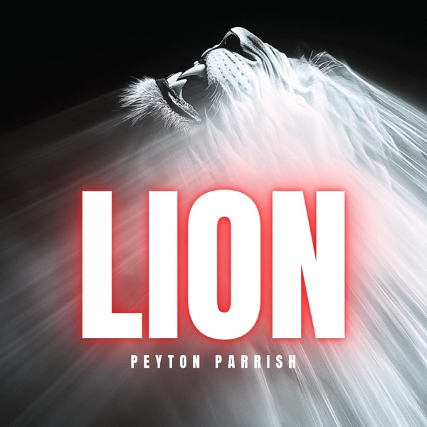 LION - Single album cover
