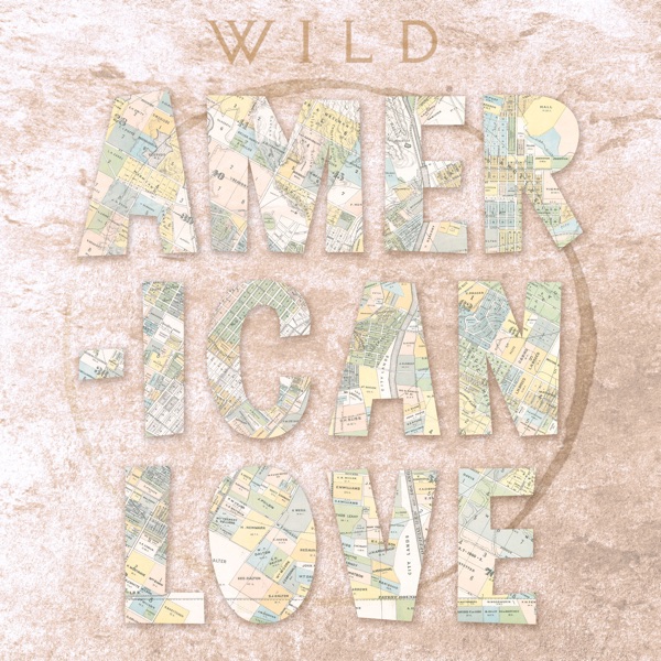 American Love - Single album cover