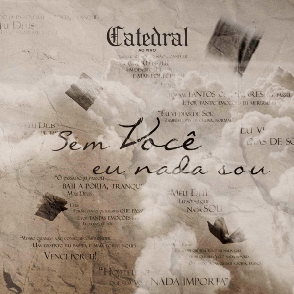 Sem Você Eu Nada Sou (Ao Vivo) - Single album cover