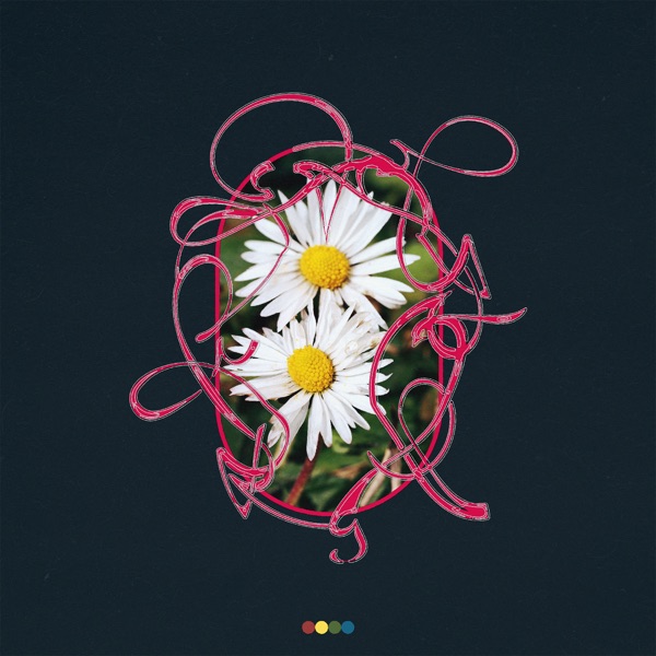 Rewild - Single album cover