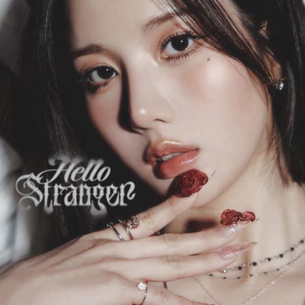 Hello Stranger - Single album cover