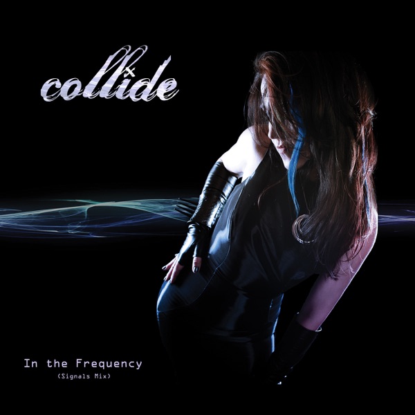 In the Frequency (Signals Mix) - Single album cover