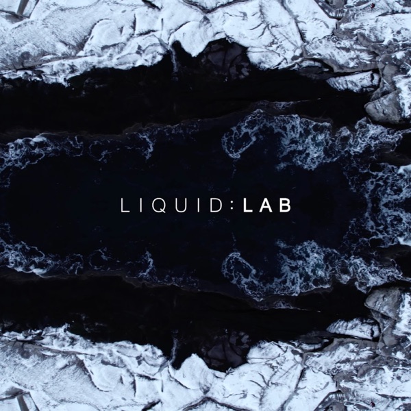 LIQUID: LAB Radio 009 (DJ Mix) album cover