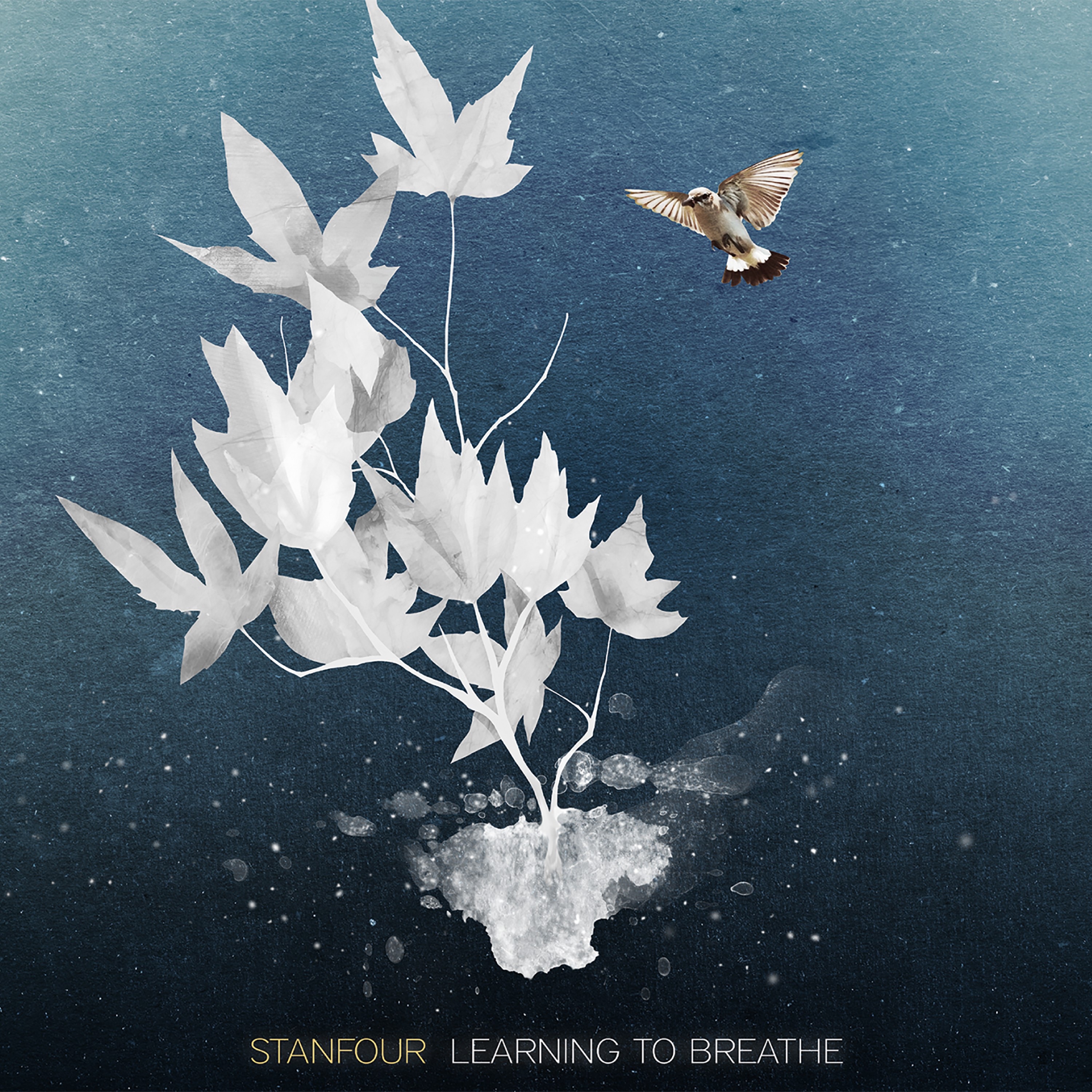 Learning to Breathe - Single album cover