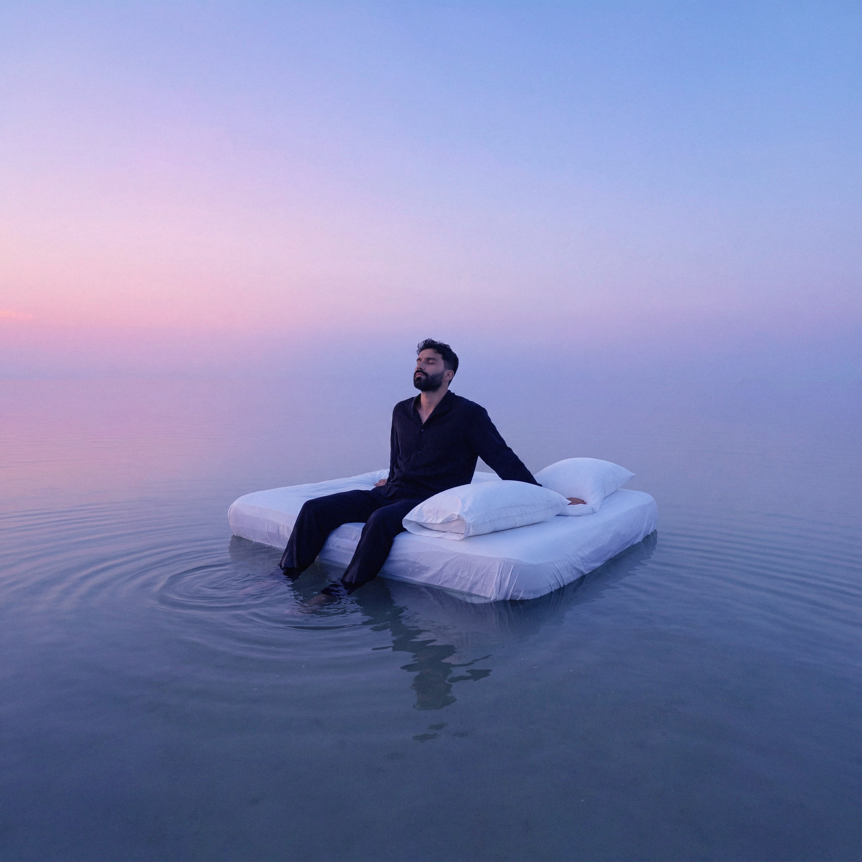 Dream inside a dream… album cover