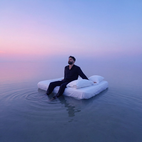 Dream inside a dream… album cover