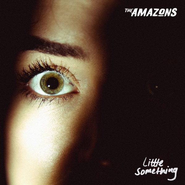 Little Something - Single album cover