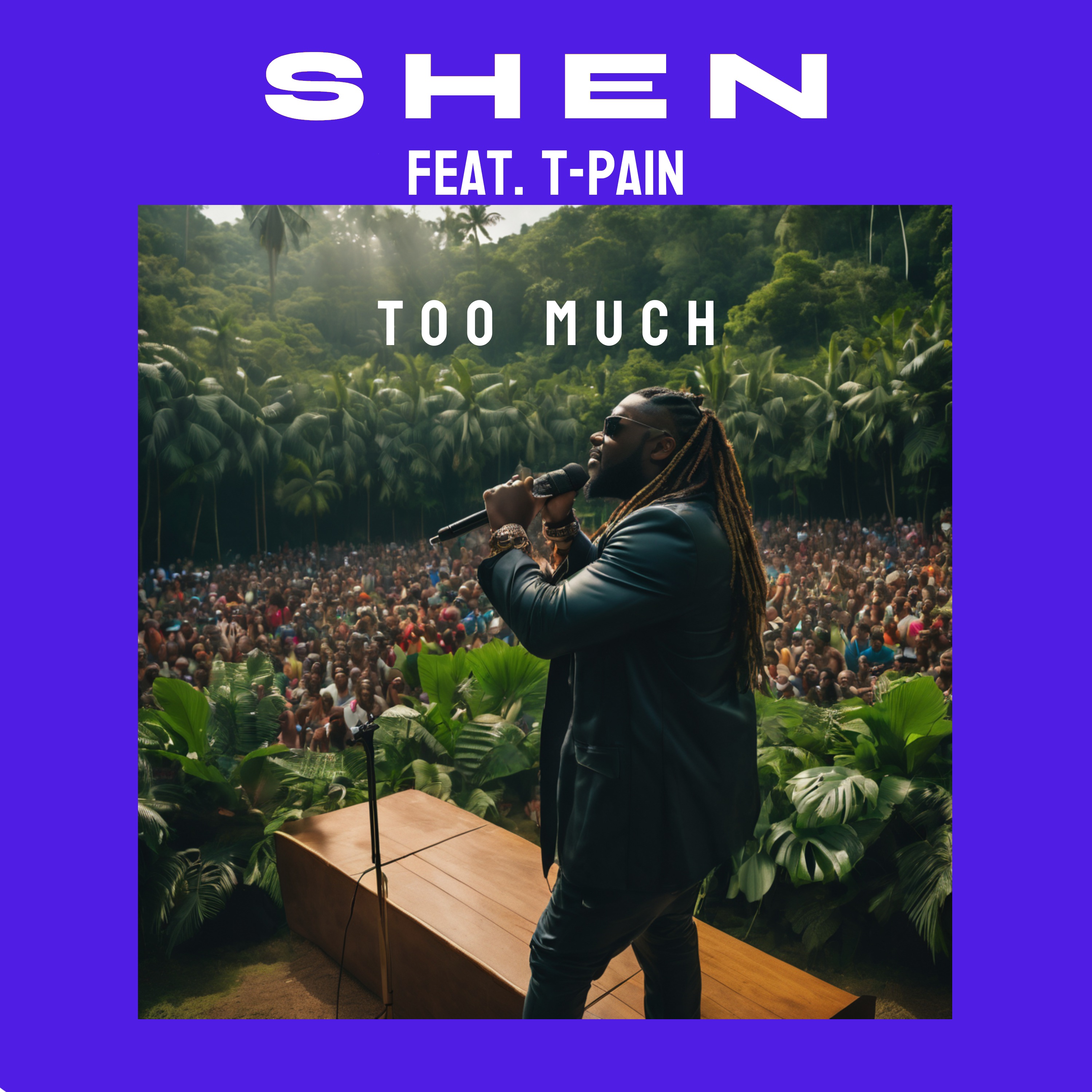 Too Much (feat. T-Pain) [Jungle] - Single album cover