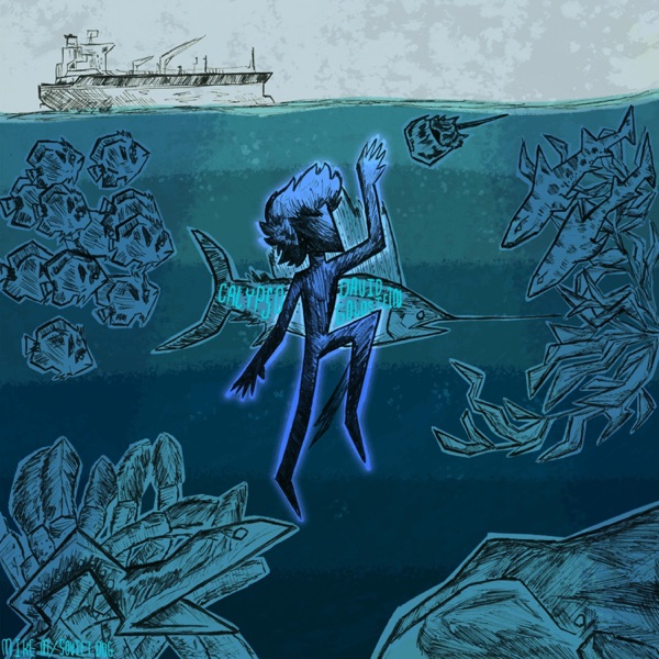 SALINITY album cover