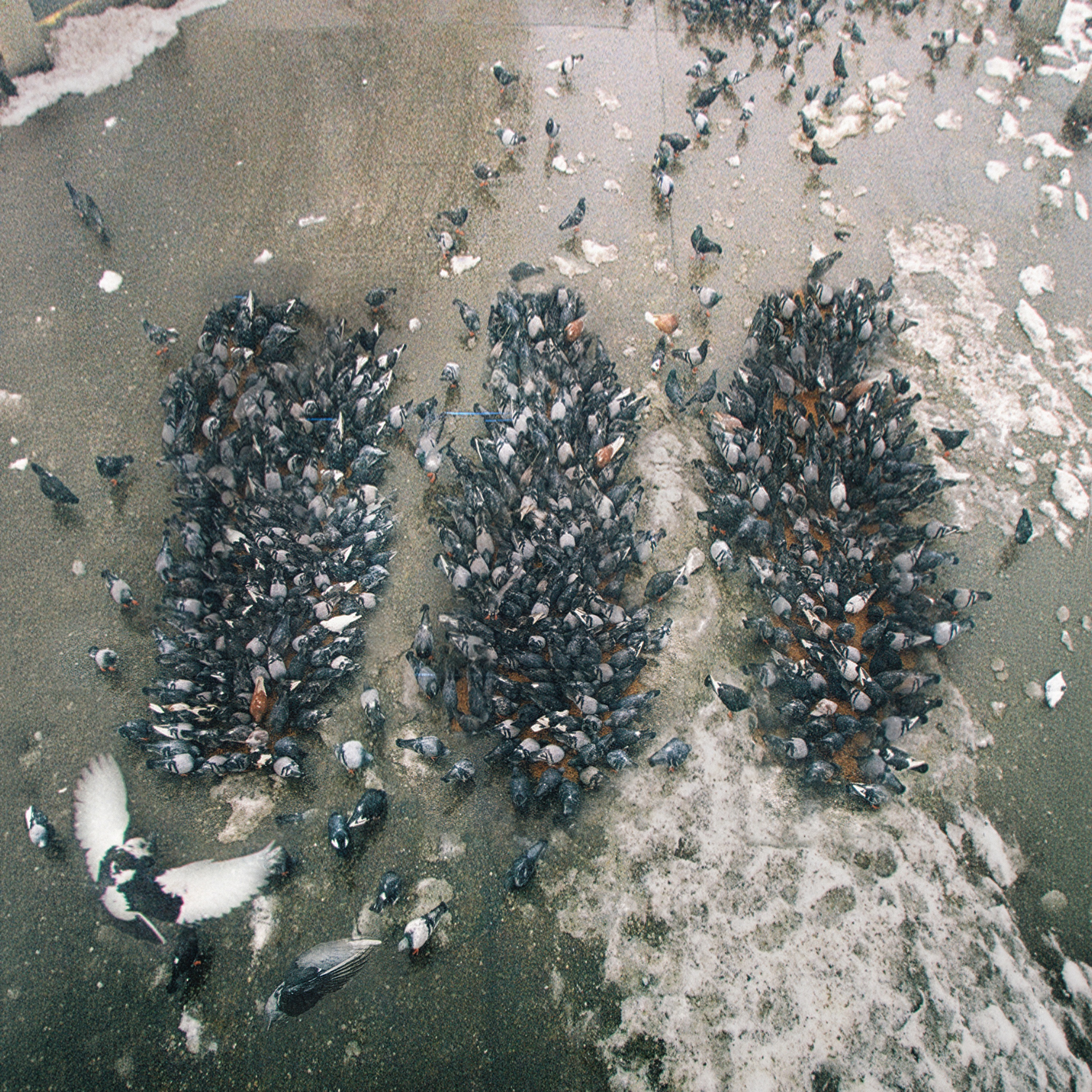 Alone Together album cover