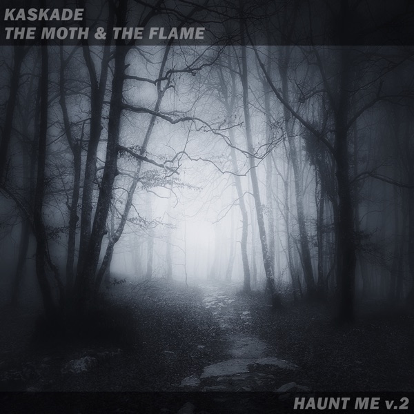 Haunt Me V.2 - Single album cover