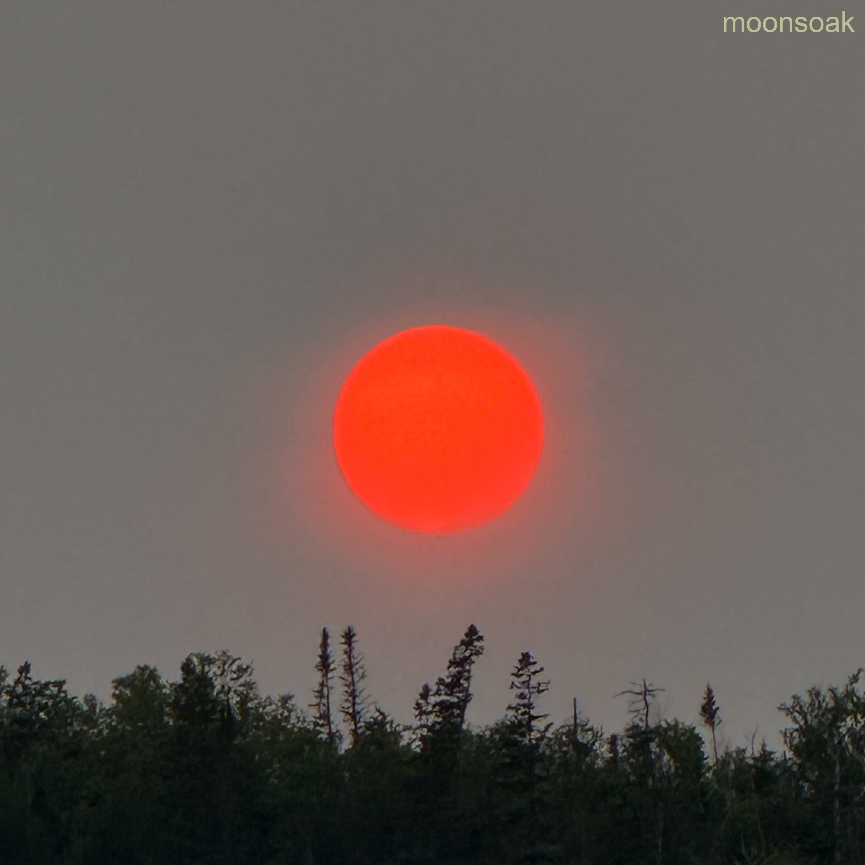 Moonsoak (feat. Tora) - EP album cover