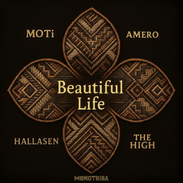 Beautiful Life - Single album cover