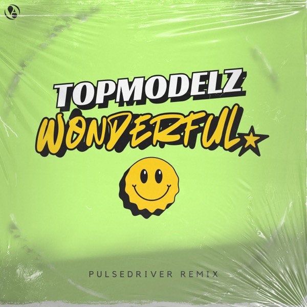 Wonderful (Pulsedriver Remix) - Single album cover
