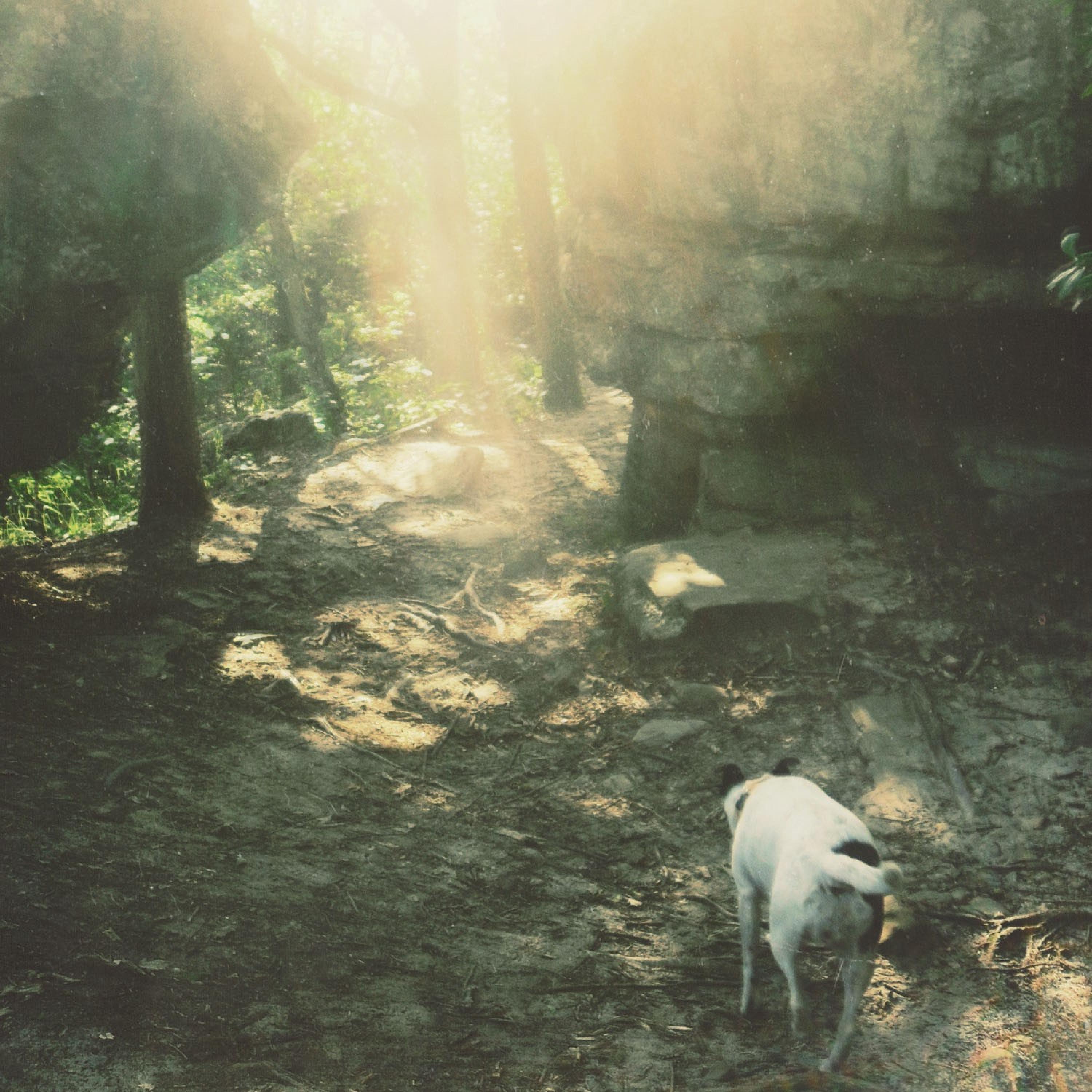 Stifled Spirit (Deluxe Edition) album cover