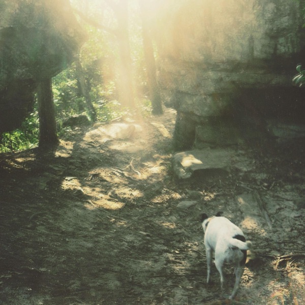 Stifled Spirit (Deluxe Edition) album cover