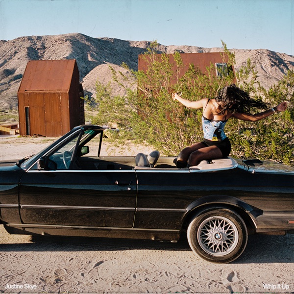 Whip It Up - Single album cover