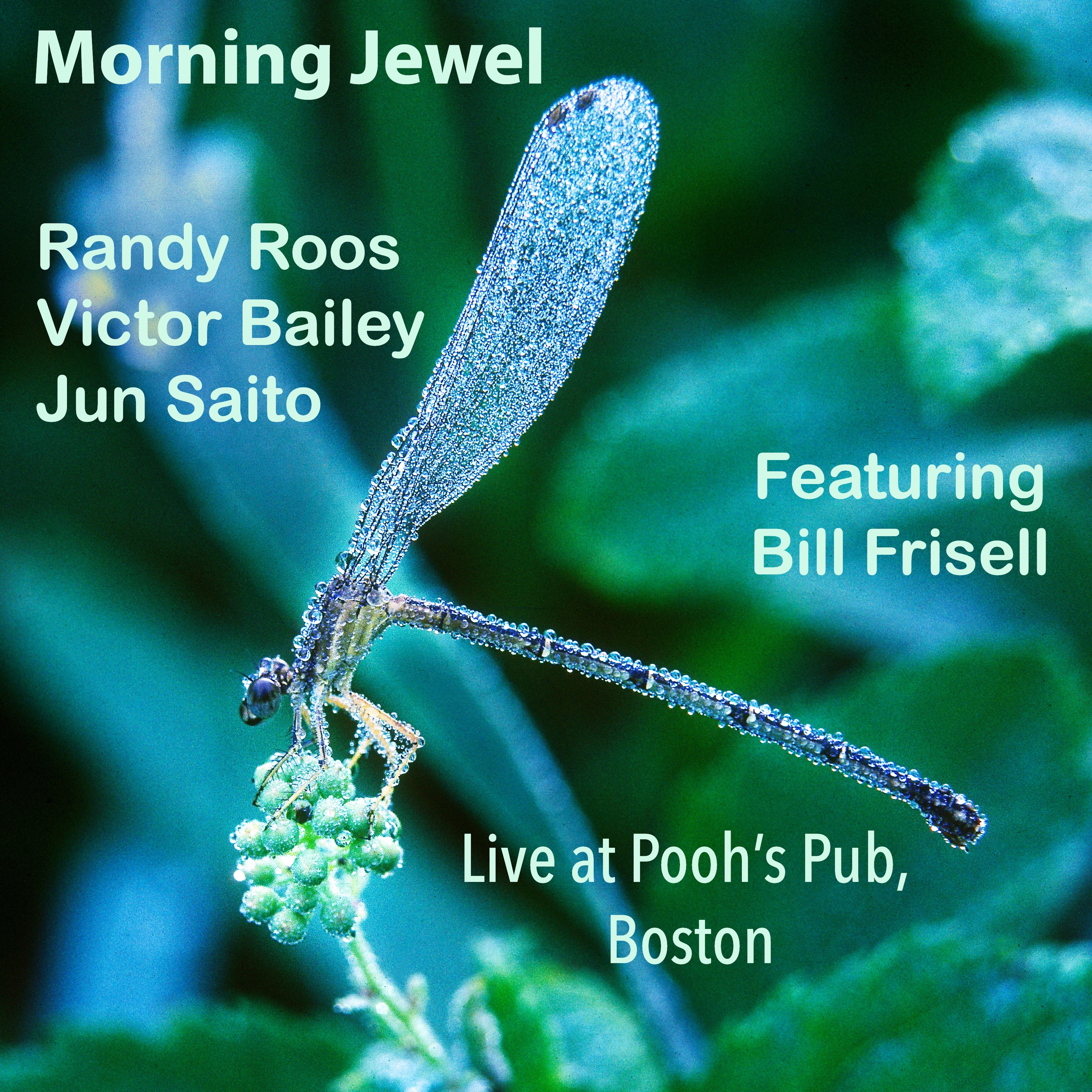 Morning Jewel (Live at Pooh's Pub, Boston, January 17, 1981) [feat. Bill Frisell] album cover