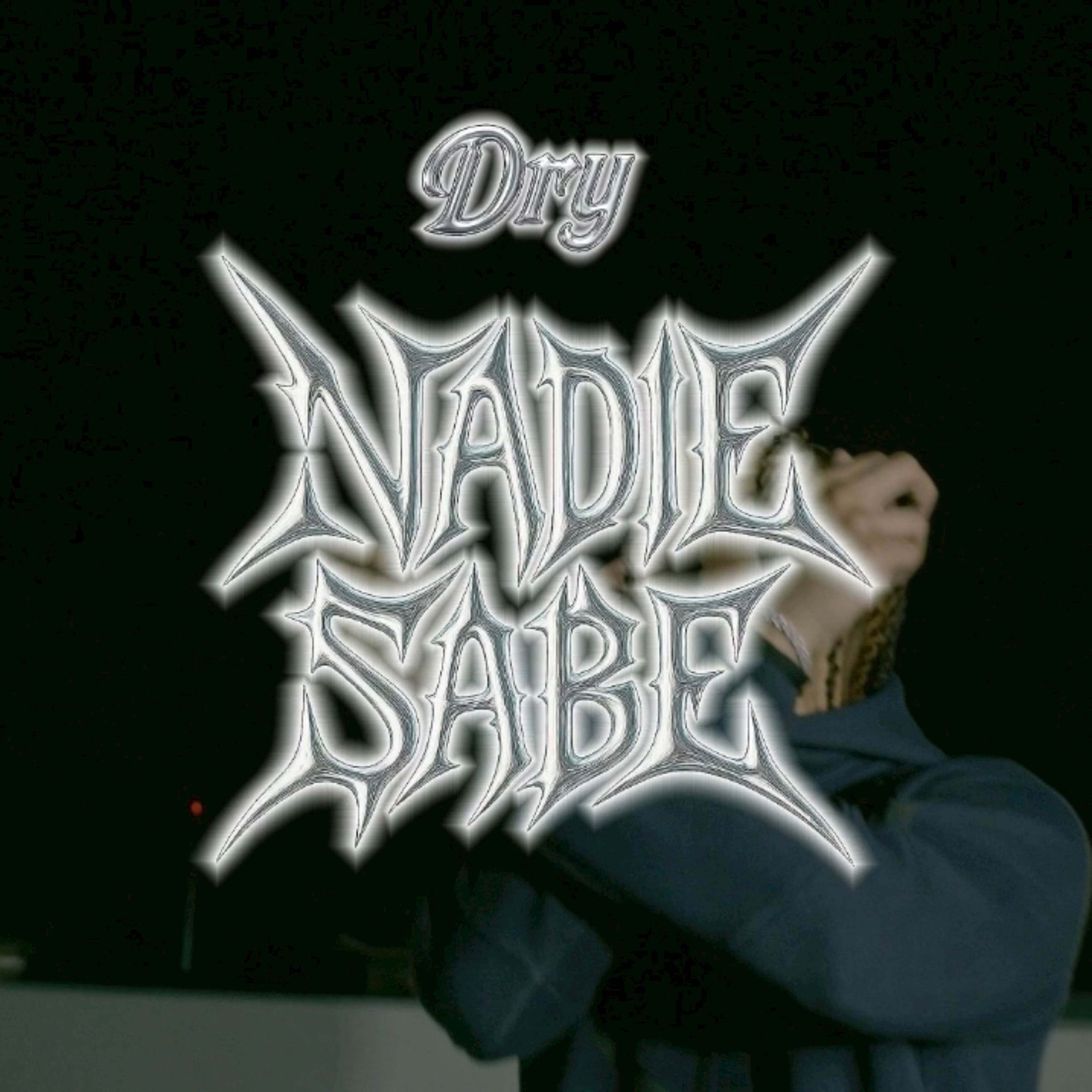 Nadie Sabe - Single album cover