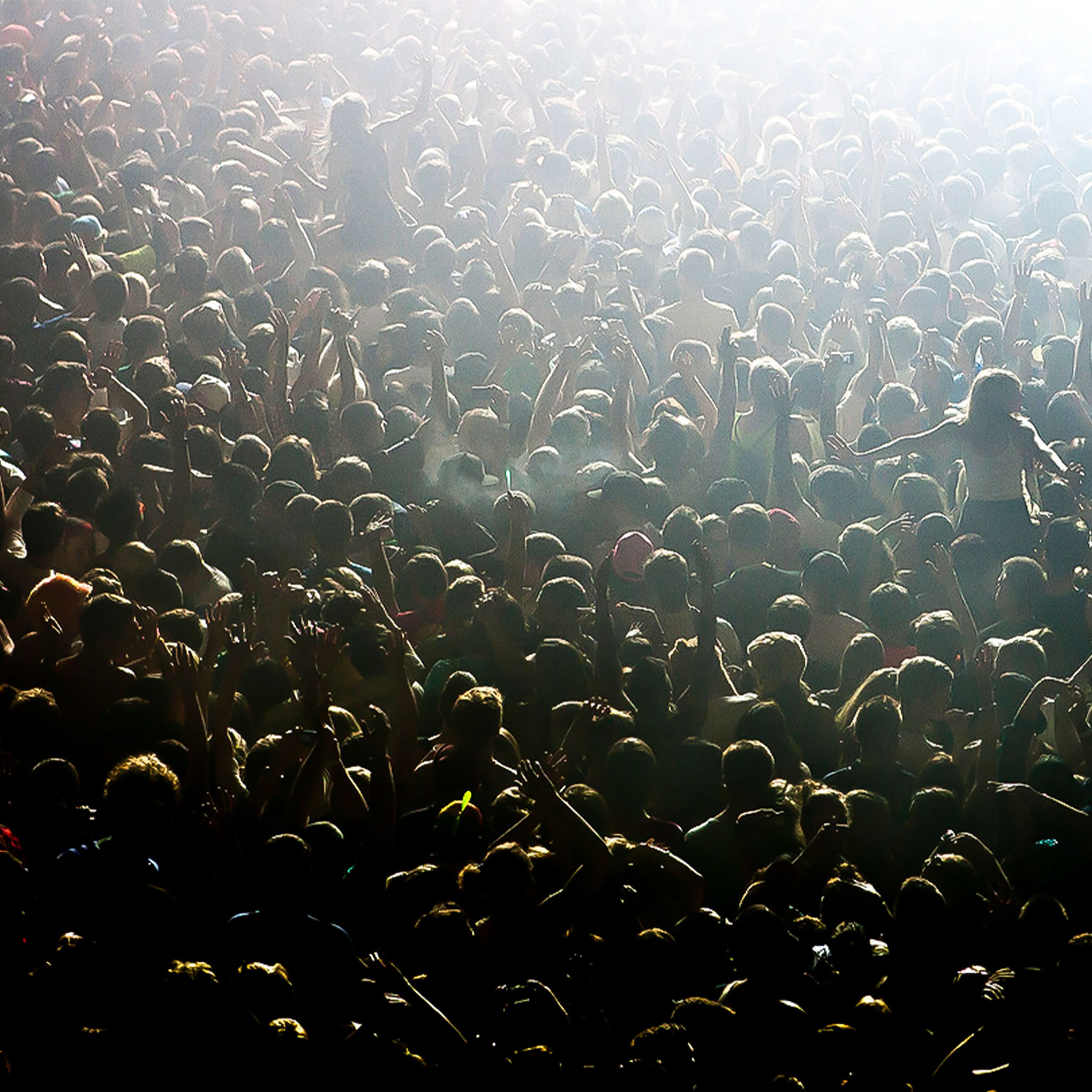 The Party Never Dies album cover