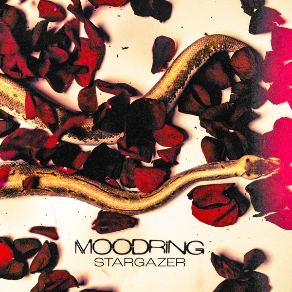 Stargazer album cover