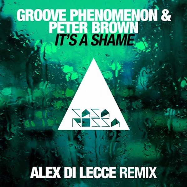 It's a Shame - Alex Di Lecce Remix - Single album cover