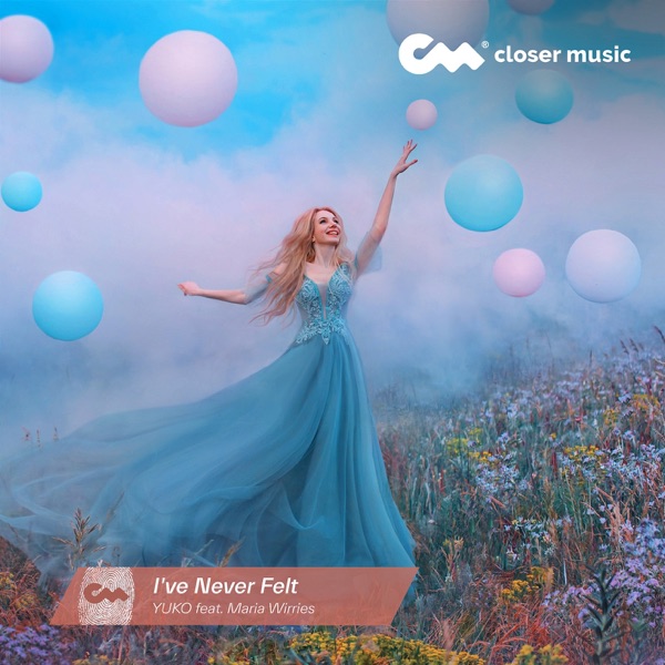 I've Never Felt (Instrumental) - Single album cover