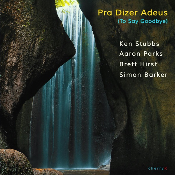 Pra Dizer Adeus (To Say Goodbye) (feat. Aaron Parks, Brett Hirst & Simon Barker) - Single album cover