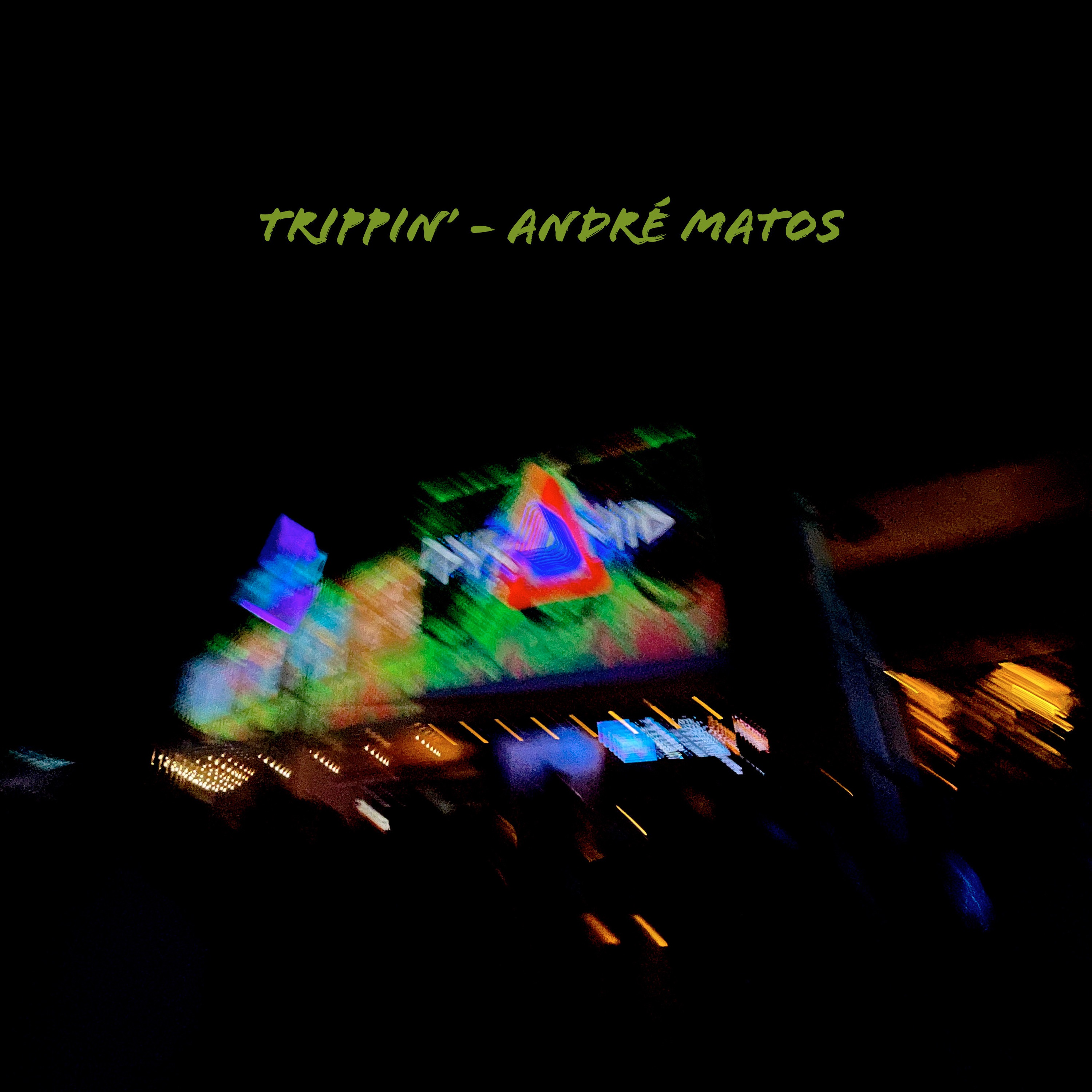 Trippin' - Single album cover