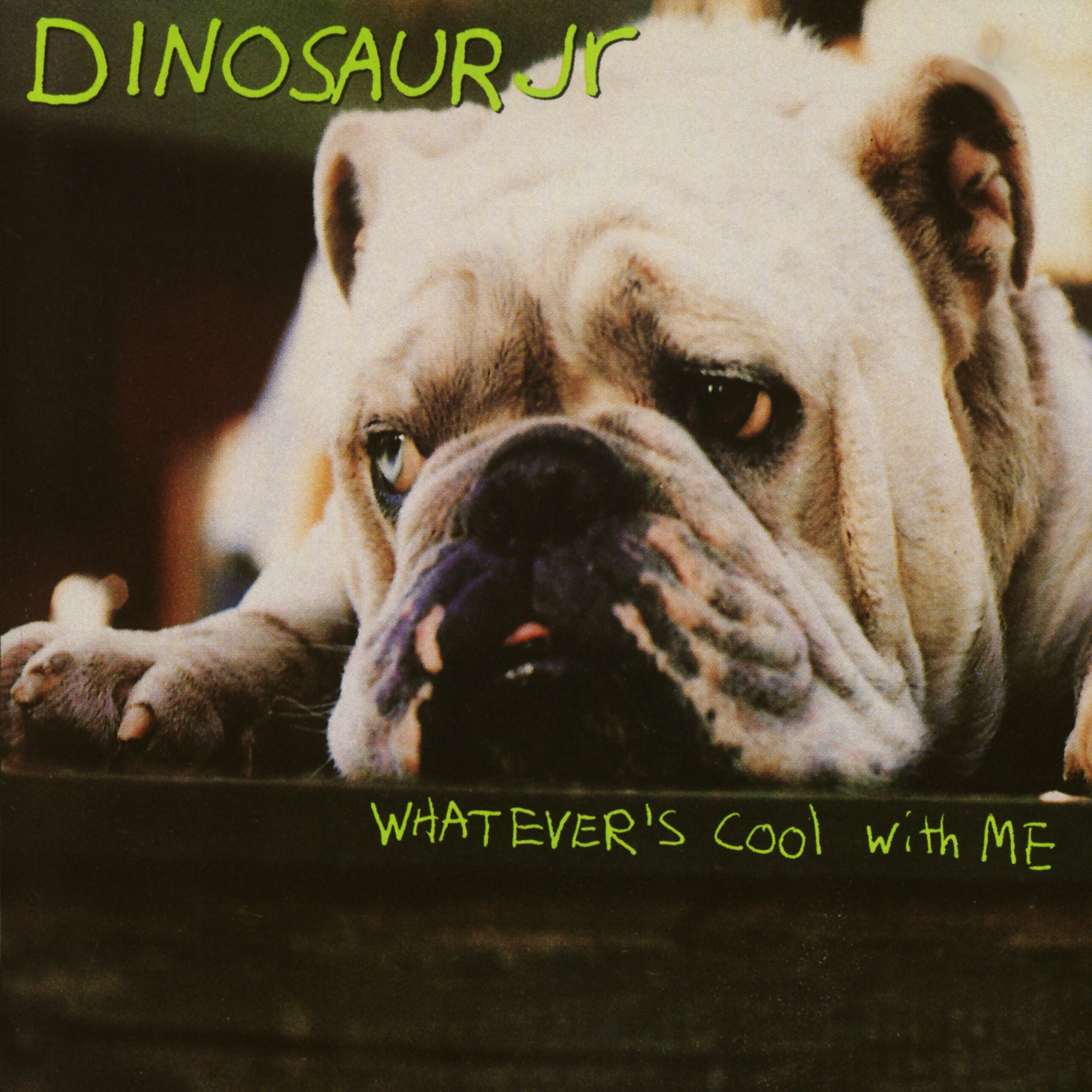 Whatever's Cool With Me album cover
