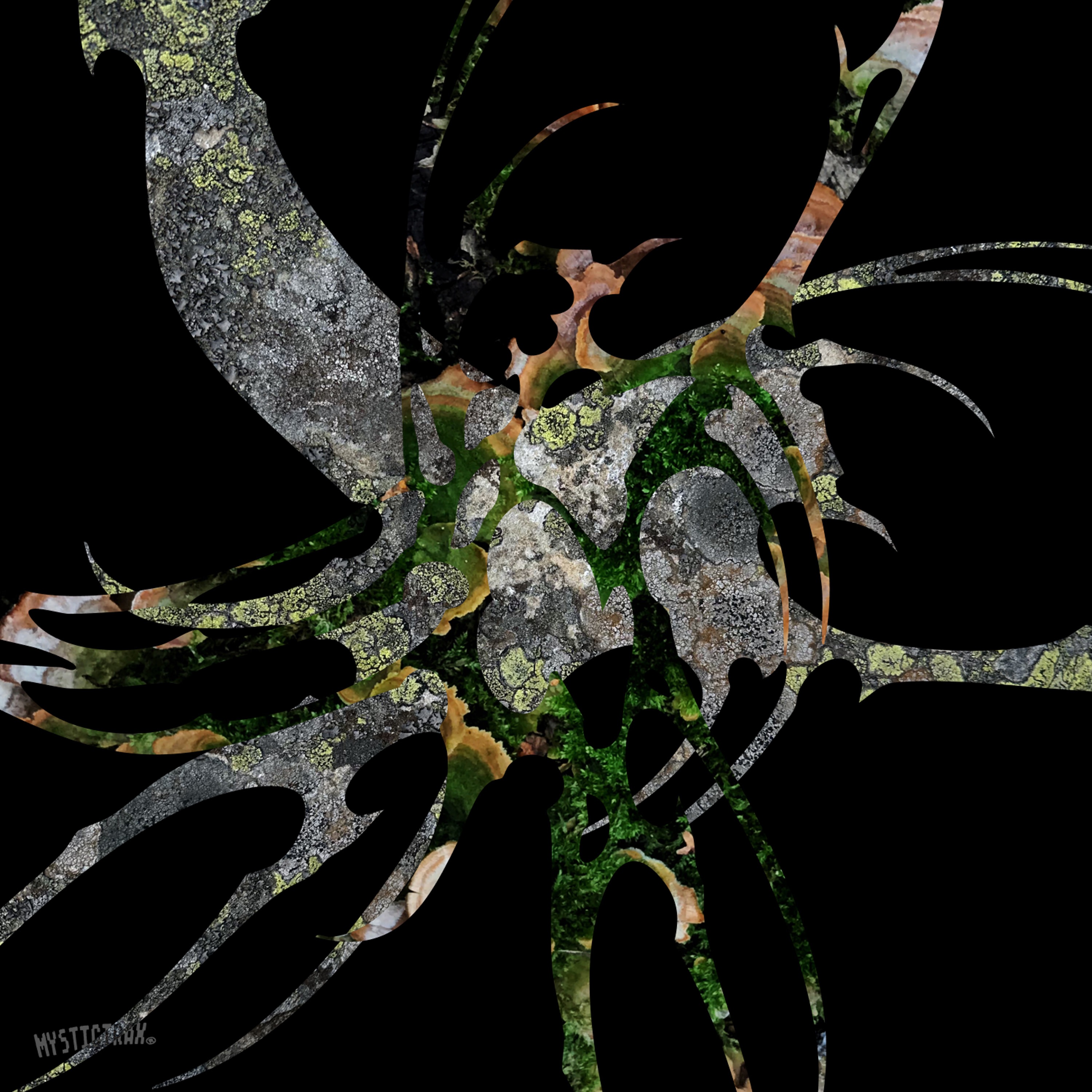 Anomaly - EP album cover