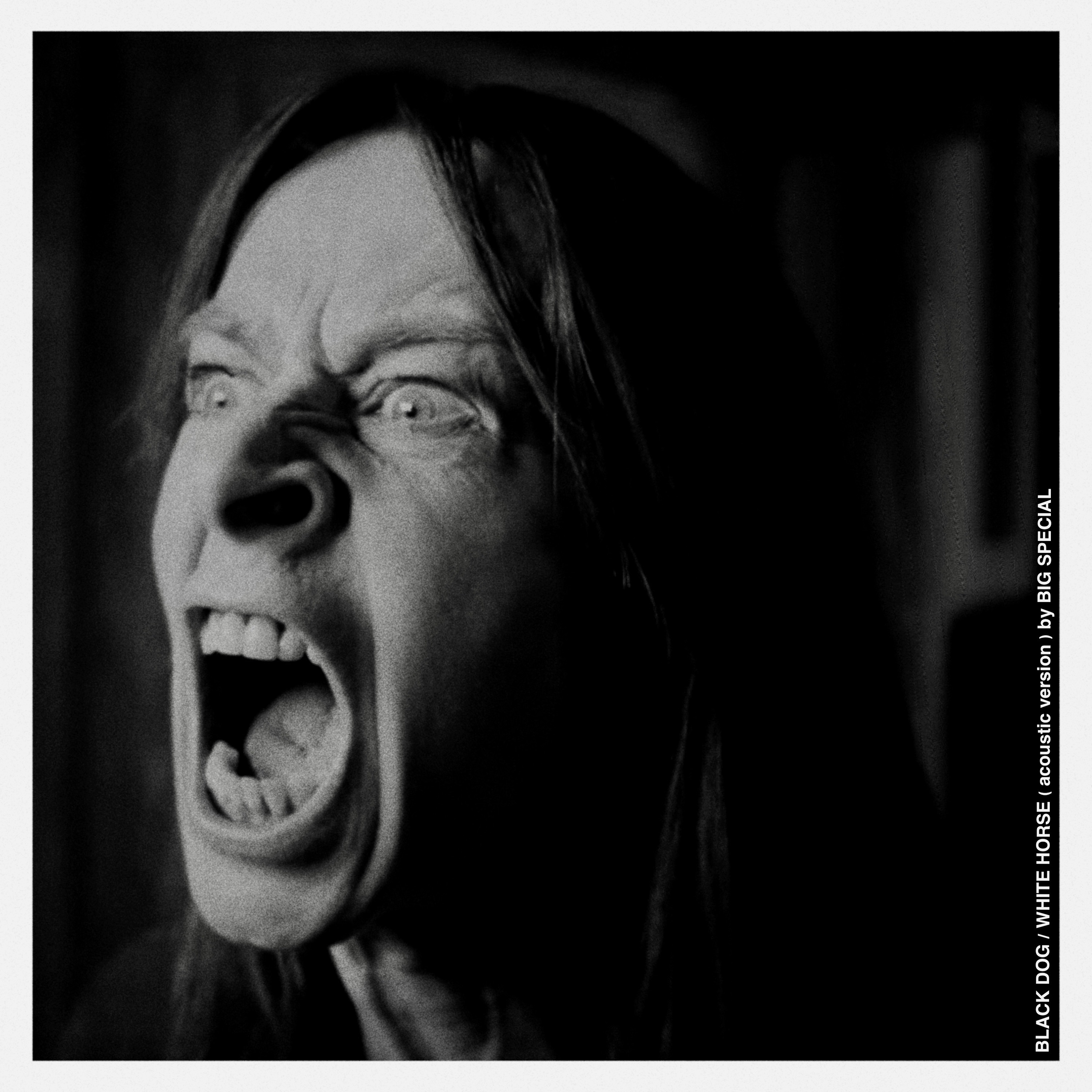 Black Dog / White Horse (Acoustic Version) - Single album cover