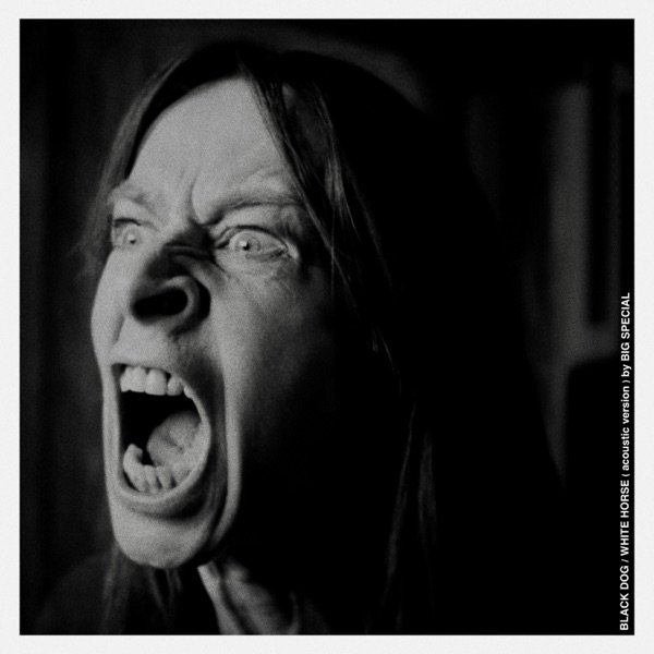 Black Dog / White Horse (Acoustic Version) - Single album cover