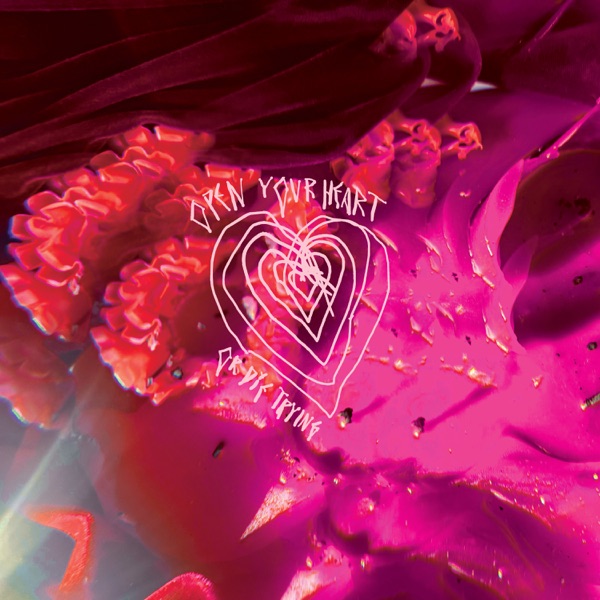 Open Your Heart or Die Trying album cover