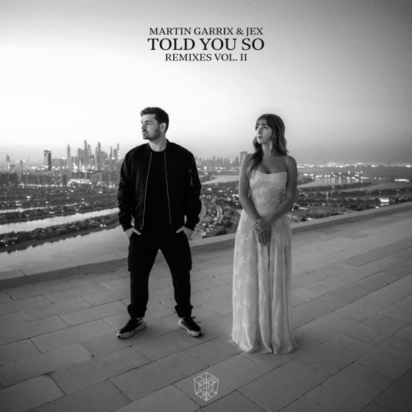 Told You So (Remixes Vol. 2) - Single album cover